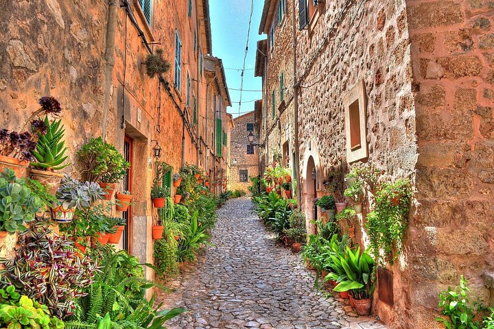 Privater Landausflug nach Valldemossa und Palma de Mallorca