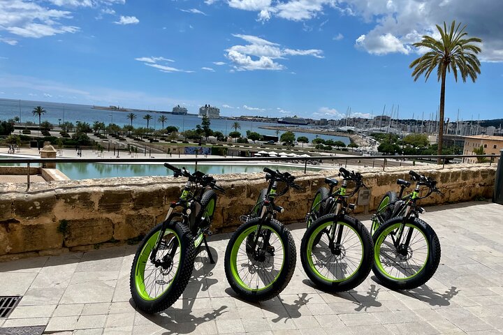 Exklusive Fat Tire E-Bike Tour in Palma